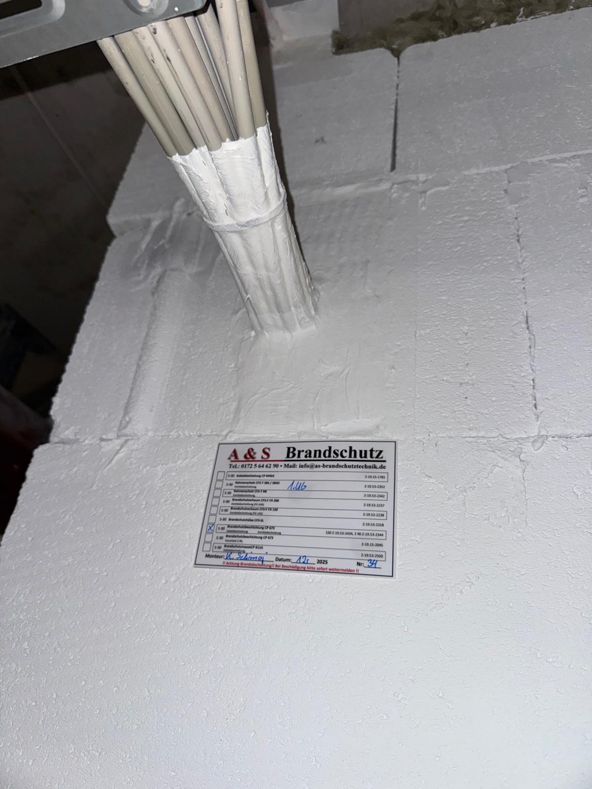 Projekt 15